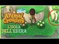 Ho trovato l'isola misteriosa dell'edera! - Animal Crossing New Horizons