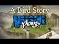 Wild Imagination | A Bird Story #3