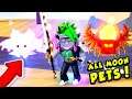 Getting an ENTIRE TEAM of the BEST MOON PETS in Roblox Saber Simulator!