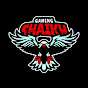 GAMING SHAIKH 