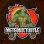 MeteoricTurtle