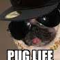 Pug Life - Rocket League