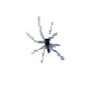 wasp spw