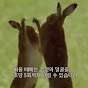 기맺순