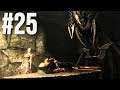 Skyrim Legendary (Max) Difficulty Part 25 - Bloodiest Beef in the Reach!