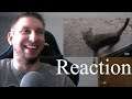 Fear The Walking Dead - 5X04 Skidmark Reaction / Review