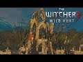 Let´s Play The Witcher 3: Wild Hunt #447 Ruinen des Arthach-Palasts