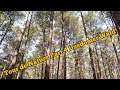Tour de Nature Part 4 Der Usedomer Wald #TourdeNature #Usedom