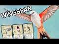 Wingspan - Turn Based Card Slinging Tactical Birb Strategy