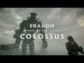 Xbox Traitor's First Time Playing Shadow Of The Colossus PS4 | Live Let's Play