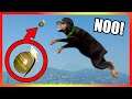 GTA 5 | How Smart is CHOP? (PART2)