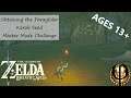 Obtaining the Paraglider - Korok Seed Master Mode Challenge - Breath of the Wild