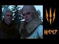 The Witcher 3: Wild Hunt | Let's Play | 147