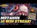 UNSTOPPABLE MUTANUS 10 WIN STREAK! | Hearthstone Battlegrounds
