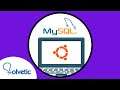 ✔️ Cómo INSTALAR MySQL en Ubuntu 21.10