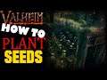 How To Plant Seeds | Garden That Looks and Works Great | Valheim