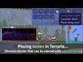 Terraria blocks (and whatnot) that requires special items to place...
