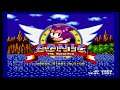 Theo In Sonic 1 (Sega Genesis Hack) Gameplay