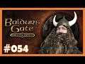 Baldur's Gate 1 Enhanced Edition #054 🪓 Ein Glas voller Verwirrung 🪓 [Deutsch]