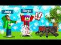 MINECRAFT But It’s RAINING COBWEB! (Dangerous)