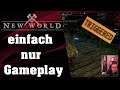 New World Beta Gameplay // Deutsch