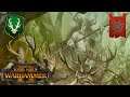 The Perfect Wood Elf Ambush. Wood Elves Vs Skaven. Total War Warhammer 2, Multiplayer