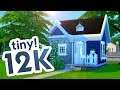 IMPOSSIBLE TINY HOUSE CHALLENGE // Sims 4 Speed Build