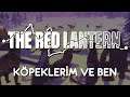KÖPEKLERİM VE BEN | The Red Lantern
