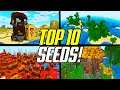 Top 10 Minecraft 1.15 BEST Seeds (PC JAVA Edition)