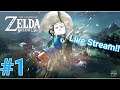 200 SUBSCRIBERS AND FIRST ZELDA GAME?! | Part 1 | Breath of the Wild
