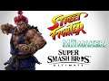 How to make Akuma/Gouki from Street Fighter in Super Smash Bros Ultimate!