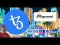 Algorand and Tezos one of the best way to Earn Coins