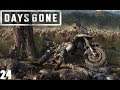 Days Gone - PS4 - Let´s Play 24 - Was ist damals passiert O'Brien?