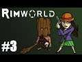 Rimworld #3 - Żądna Wrażeń Szlachcianka