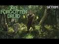 Skyrim Build: The Forgotten Druid | #1 | Nature & Earth Mage