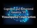 [SLEEP AID] Visuospatial Construction - Cognitive and Behavioral Genetics '99