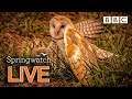 Cute wildlife cams 12 June 🐦🐿🐣 | BBC Springwatch