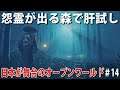 【Ghost of Tsushima #14】日本が舞台のオープンワールドゲームで怨霊がでる森を探索してみた【アフロマスク】
