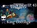 King Coconga - Hollow Knight Gameplay PT BR - Episódio 43