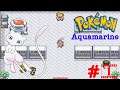Pokemon Aquamarine Part 1 -- Play as MEW!!!! (in HINDI)