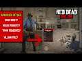 Red Dead Online - Bank Heist Coming soon?!?!