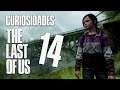 Las curiosidades de The Last of Us (XIV) - Plantando la semilla del futuro hogar