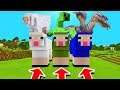 Minecraft PE : DO NOT CHOOSE THE WRONG SHEEP! (Jeb Sheep, Mutant Creeper & Hydra Dragon)