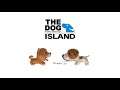 The Dog Island Artlist Collection USA - Nintendo Wii