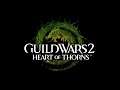 What There Is To Offer - Guild Wars 2