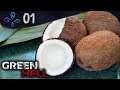 A la chasse à la noix de coco - Découverte du mode histoire - GREEN HELL v1.0 #01