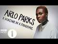 Arlo Parks:  A Popstar in a Pandemic