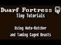 Dwarf Fortress Tiny Tutorials: Auto Butcher and Taming