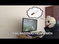 getting bad ideas from Wrath.. (preview)