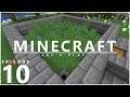 Let's Play Minecraft 1.14 - Blue Dye Flower Farm
